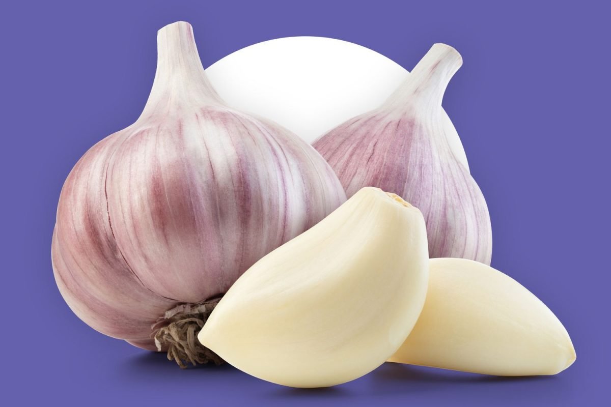 Garlic (Lehsan)