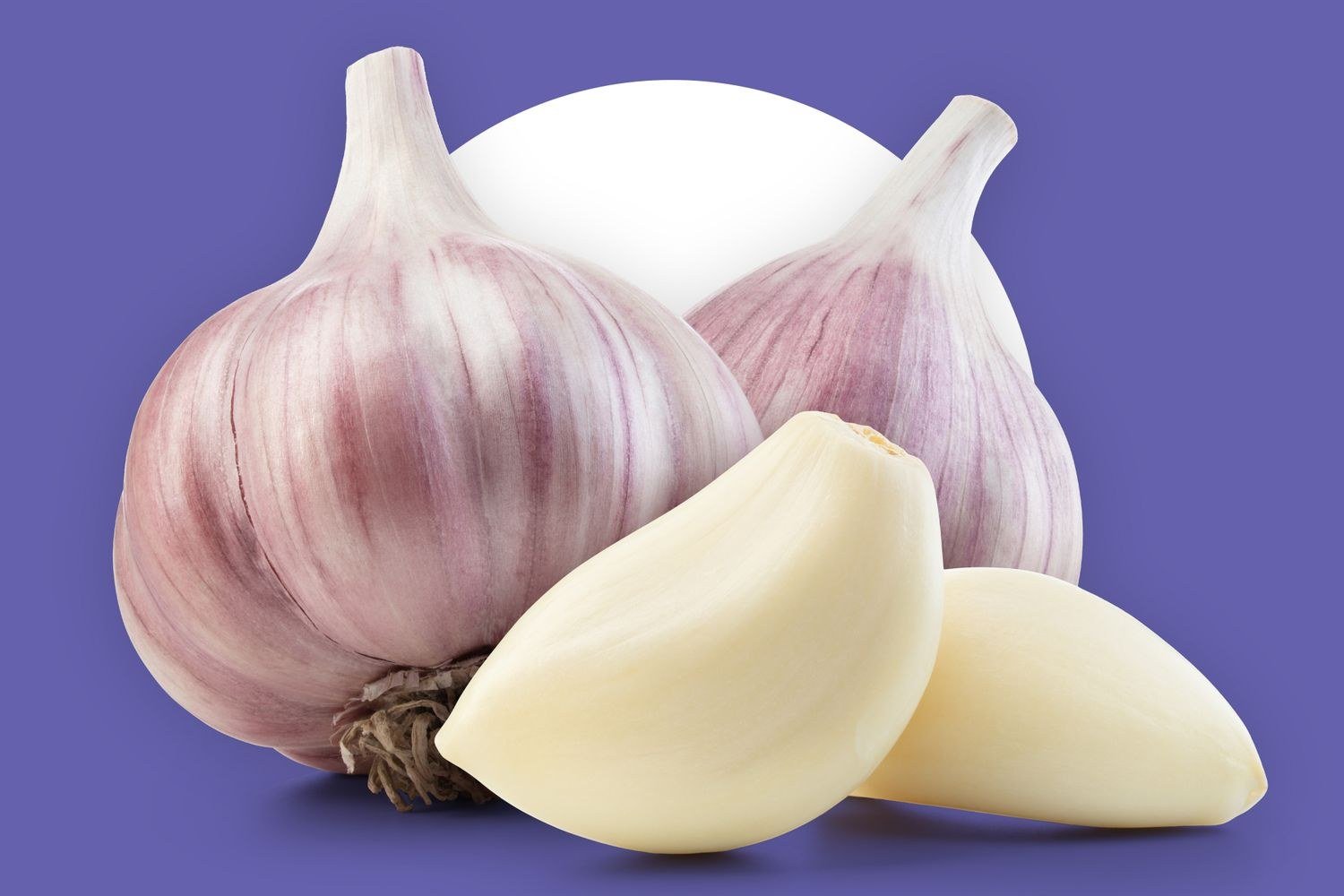 Garlic (Lehsan) enlarged