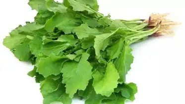 Leafy (Saag)