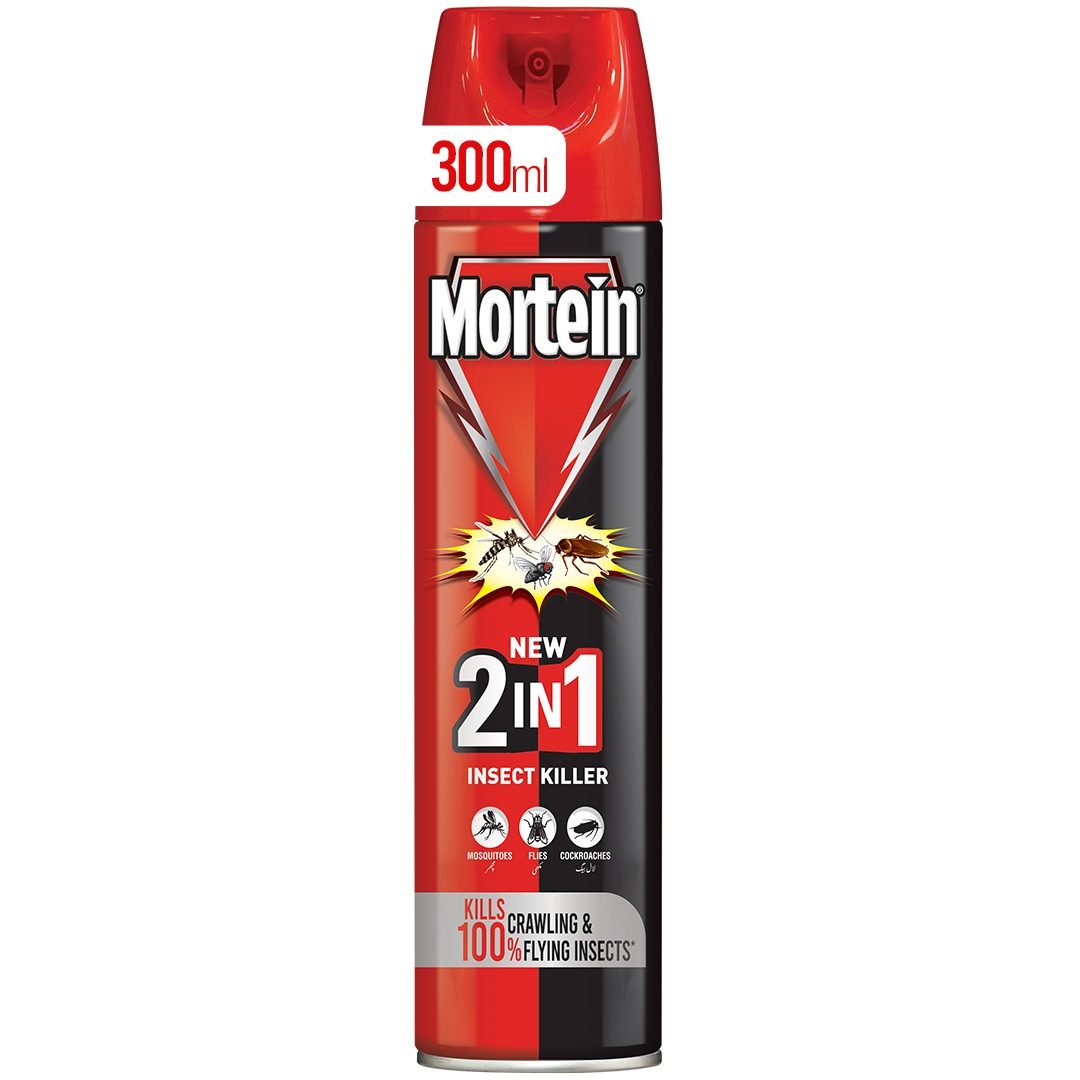 Mortein 2-In-1 Insect Killer Spray