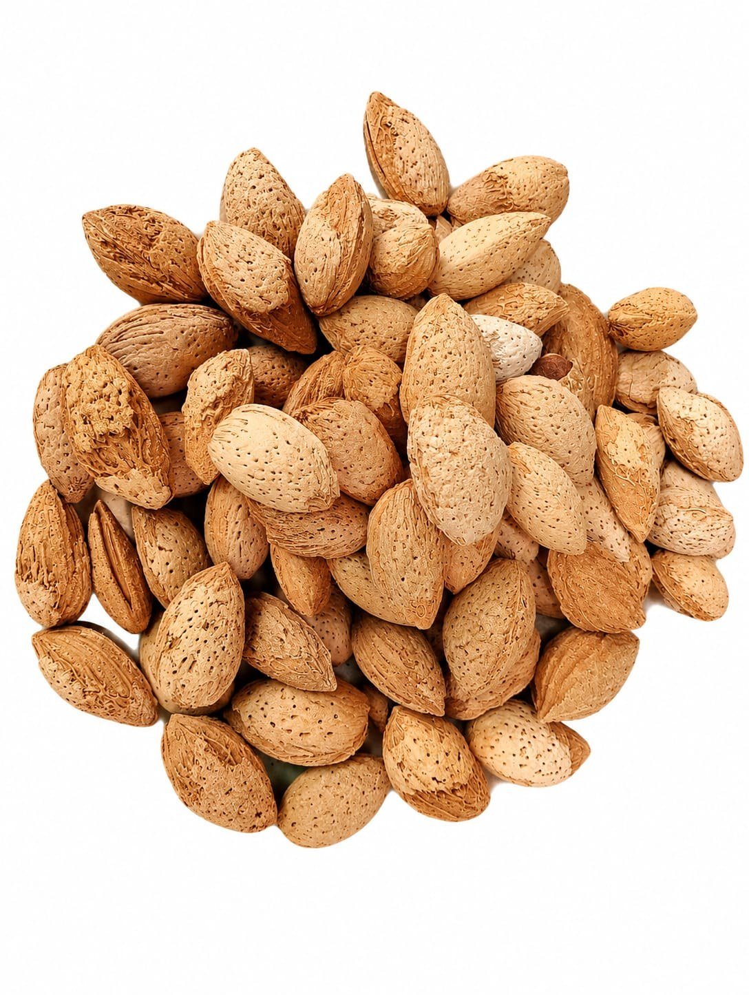 Badam Kaghzi enlarged