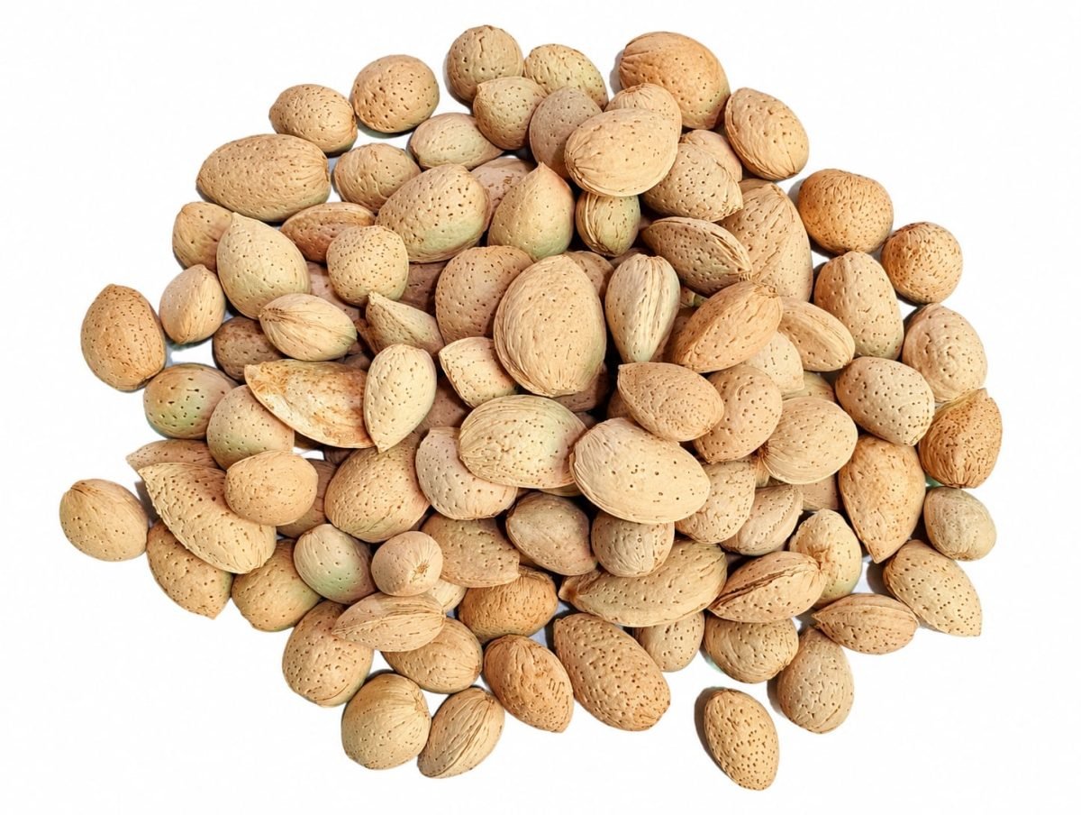 Badam Kada