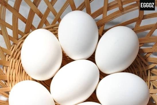 Eggs enlarged