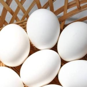 Eggs
