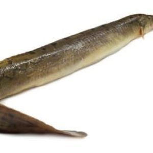 Bamm Fish