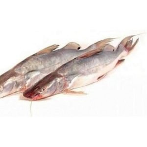 Sengara Fish