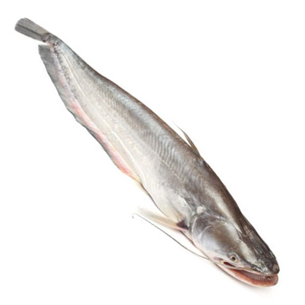 Malie Fish